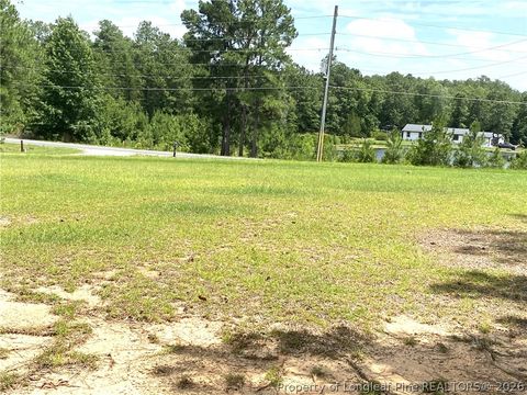 Tiny photo for 3480 N Hillmon Grove Road W, Cameron, NC 28326 (MLS # 766665)