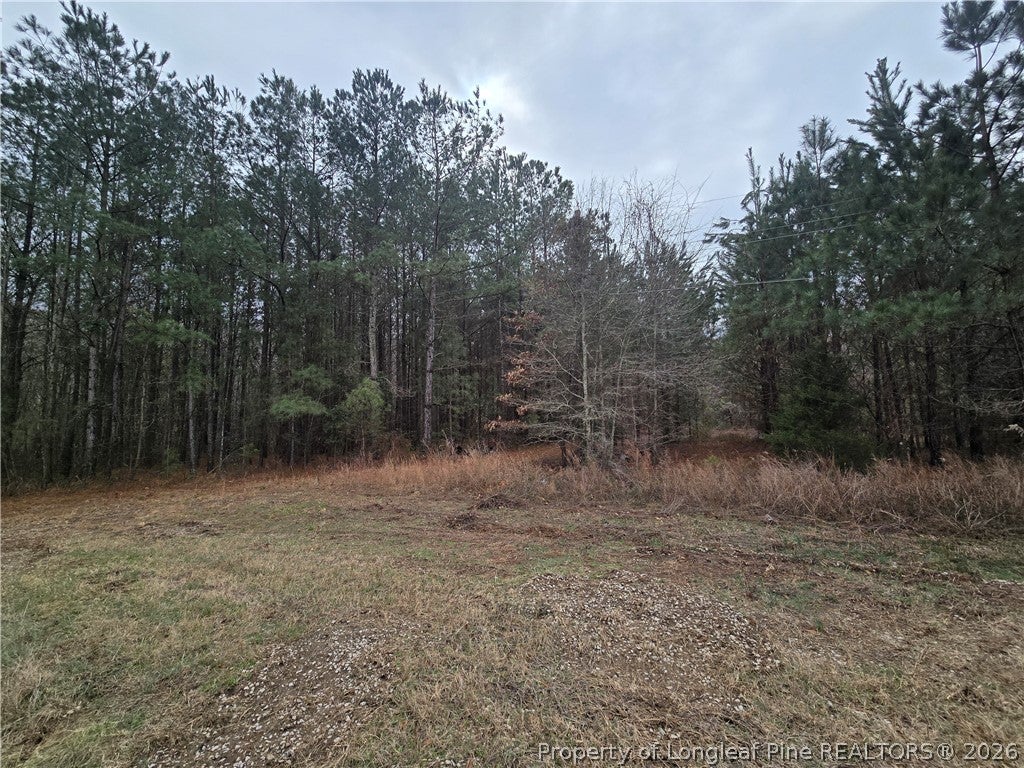 Photo 3 of 6 of 3162 murphy Road