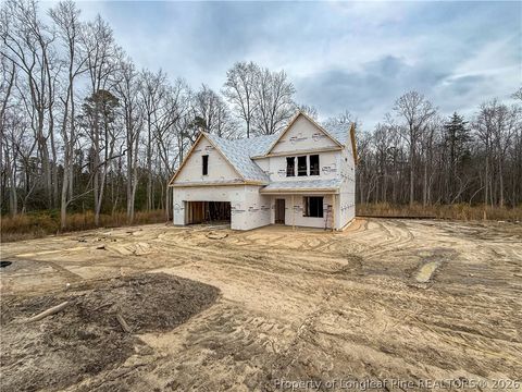 Photo of 444 Marengo (Lot 19) Trail, Raeford, NC 28376 (MLS # 758300)