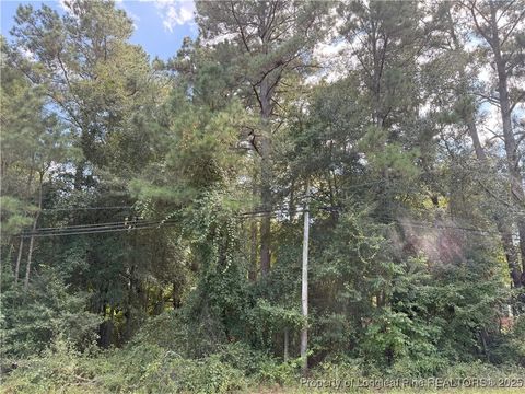 Lot 1 E Williams Street Autryville NC 28318