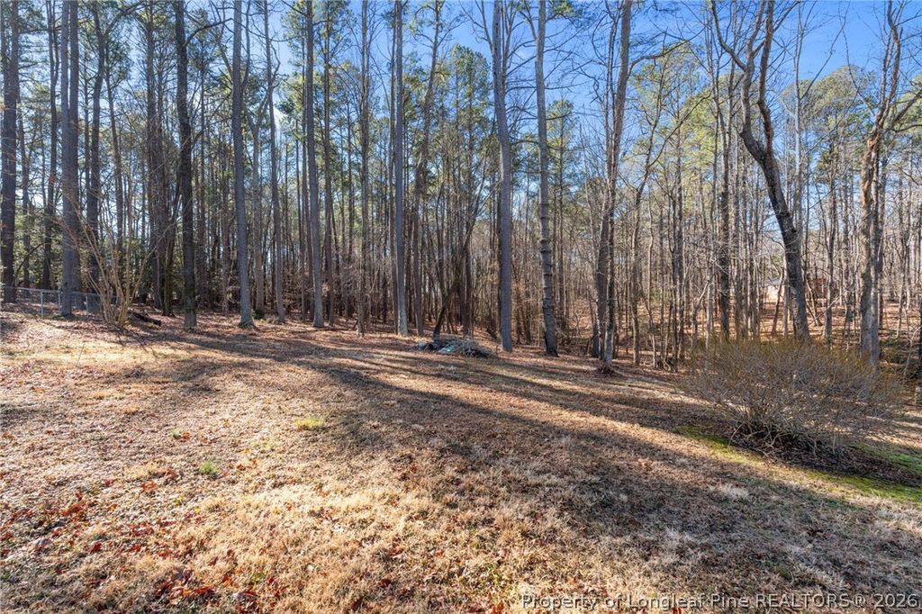 Photo of 2125 Eveton Lane, Sanford, NC 27330 (MLS # 757584)