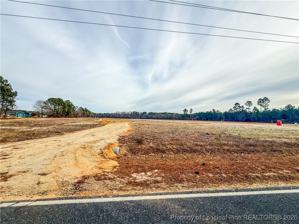 Photo of 3358 S RIVER SCHOOL (LOT 1) Road, Wade, NC 28395 (MLS # 755138)