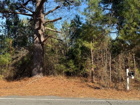 Photo of 3237 Old Stage Road S, Erwin, NC 28339 (MLS # 754850)