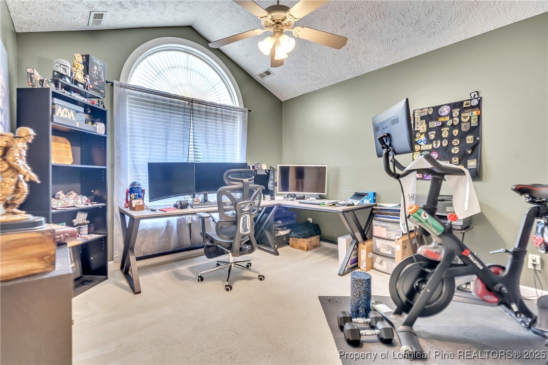 3528 Talus Road