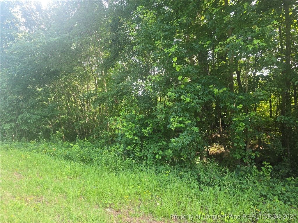 Photo of Rockfish Road, Raeford, NC 28376 (MLS # 745922)