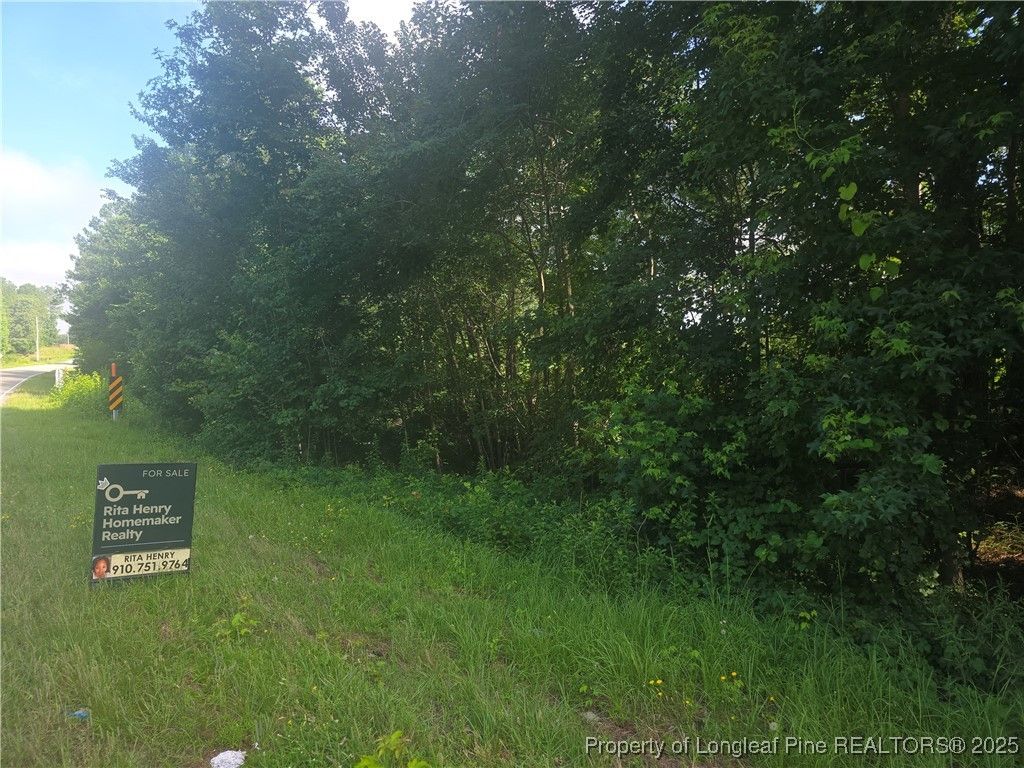 Photo of Rockfish Road, Raeford, NC 28376 (MLS # 745922)