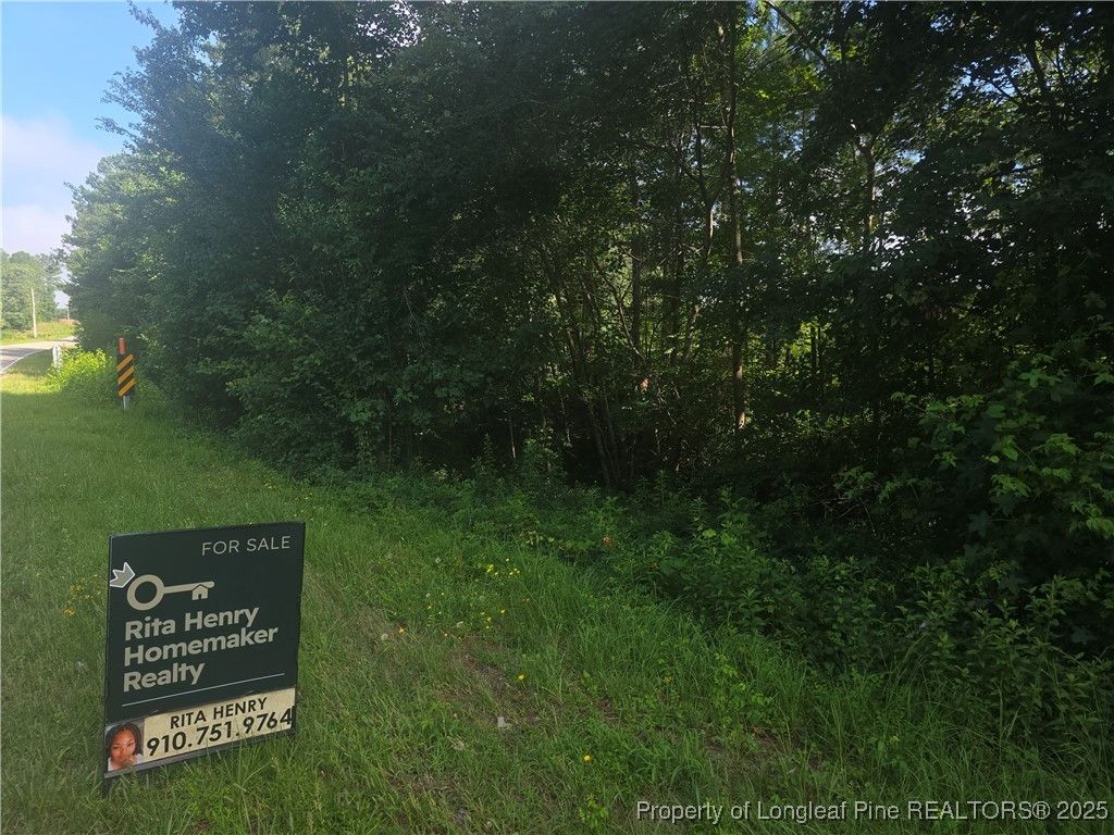 Photo of Rockfish Road, Raeford, NC 28376 (MLS # 745922)