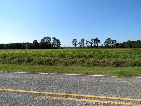 Tiny photo for TBD Cowpen Swamp Road, Fairmont, NC 28340 (MLS # 753987)