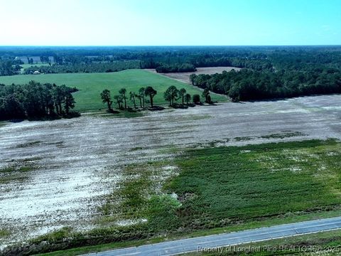 Photo of TBD Cowpen Swamp Road, Fairmont, NC 28340 (MLS # 753987)