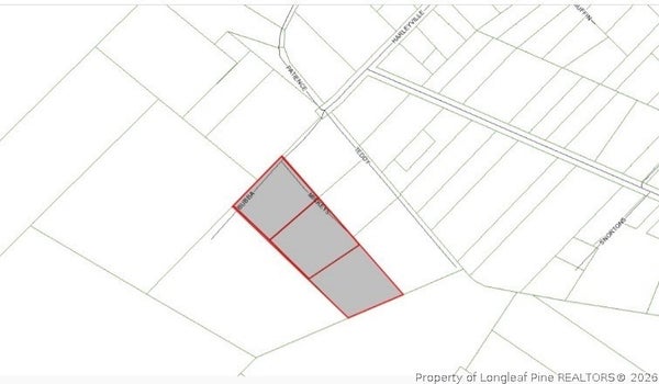 HARLEYVILLE ROAD, ROWLAND, NC 28383 - Image c4de80d7ccc859041ce94b64140c6a34/1469438496