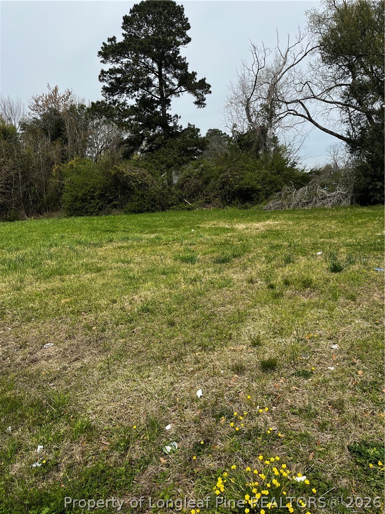 2610 Rogers Street - Photo 2
