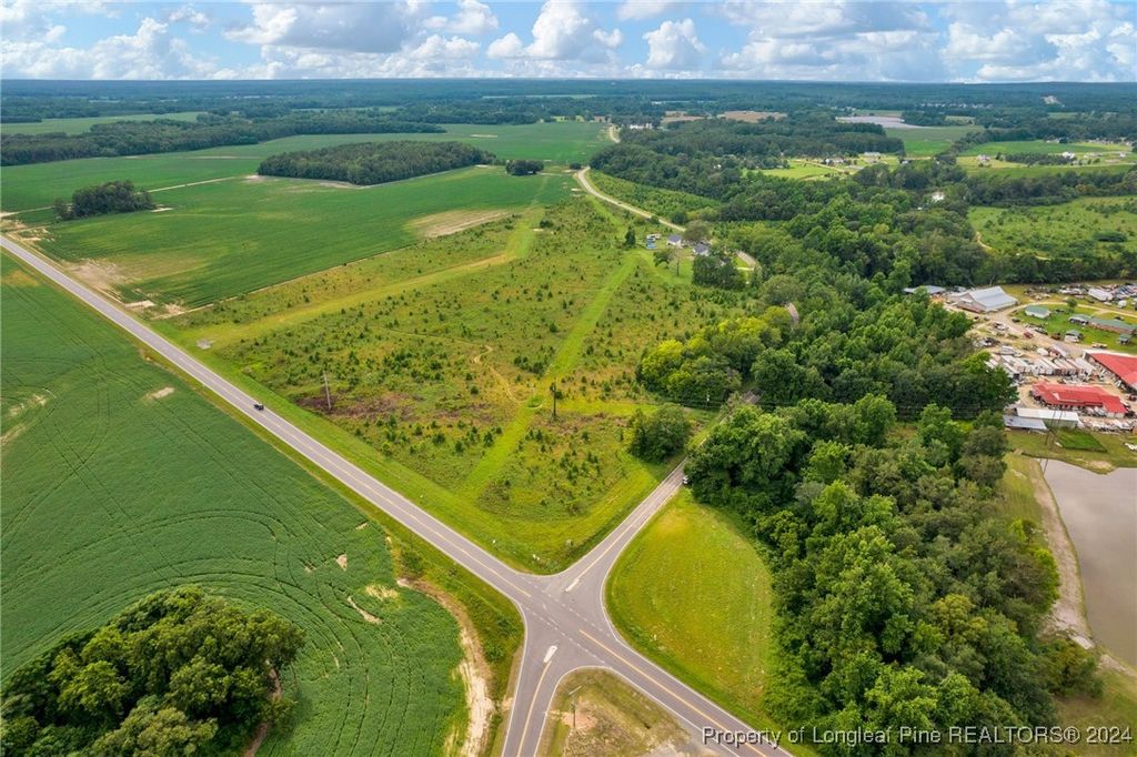 Photo of Wallace Mclean Road, Raeford, NC 28376 (MLS # 735470)