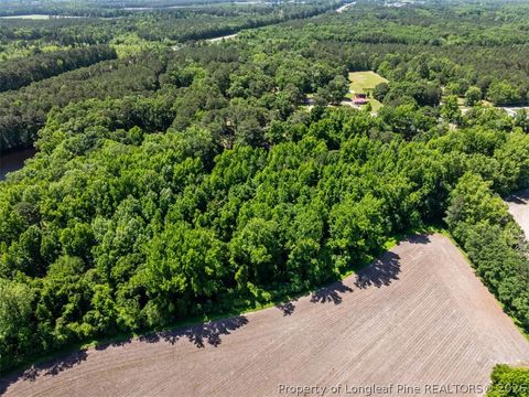 Tiny photo for 3255 Sunnyside School Road, Fayetteville, NC 28312 (MLS # 762676)