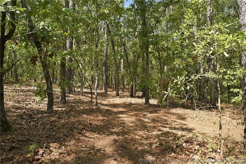 Tiny photo for 29801 Peach Orchard Road, Wagram, NC 28396 (MLS # 769317)