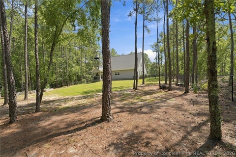 Tiny photo for 29801 Peach Orchard Road, Wagram, NC 28396 (MLS # 769317)