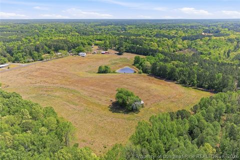 Tiny photo for 249 Nicholson Road, Rockingham, NC 28379 (MLS # 762463)