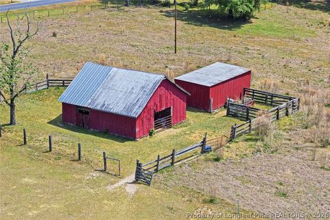 Tiny photo for 249 Nicholson Road, Rockingham, NC 28379 (MLS # 762463)