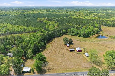 Tiny photo for 249 Nicholson Road, Rockingham, NC 28379 (MLS # 762463)