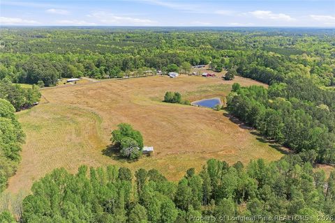 Tiny photo for 249 Nicholson Road, Rockingham, NC 28379 (MLS # 762463)