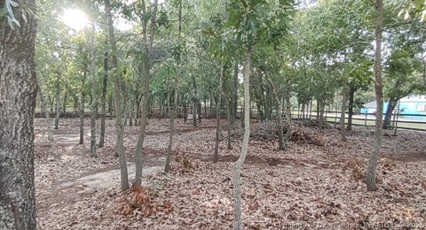 Tiny photo for 172 Addor Road, Pinebluff, NC 28373 (MLS # 768314)