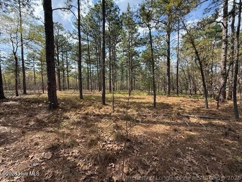 Tiny photo for 27 Birkdale Way, Pinehurst, NC 28374 (MLS # 769612)