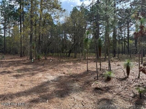 Tiny photo for 27 Birkdale Way, Pinehurst, NC 28374 (MLS # 769612)