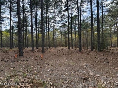 Tiny photo for 27 Birkdale Way, Pinehurst, NC 28374 (MLS # 769612)