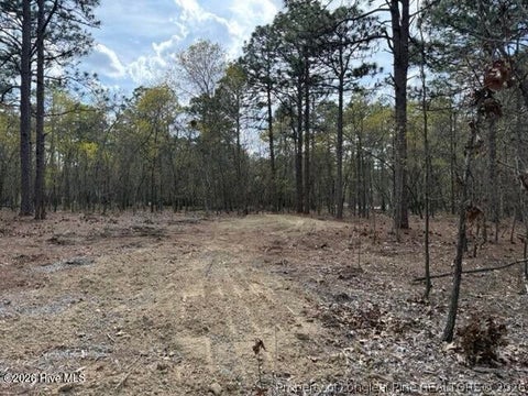 Tiny photo for 27 Birkdale Way, Pinehurst, NC 28374 (MLS # 769612)