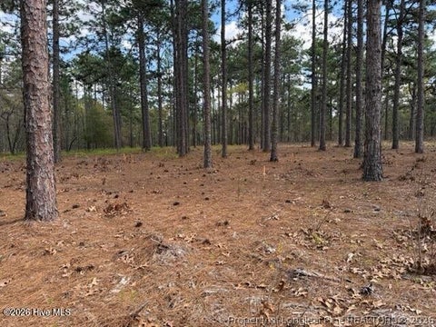 Tiny photo for 27 Birkdale Way, Pinehurst, NC 28374 (MLS # 769612)