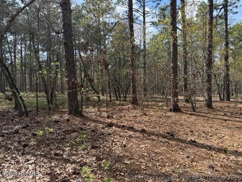 Tiny photo for 27 Birkdale Way, Pinehurst, NC 28374 (MLS # 769612)