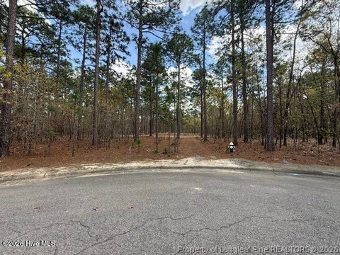 Tiny photo for 27 Birkdale Way, Pinehurst, NC 28374 (MLS # 769612)