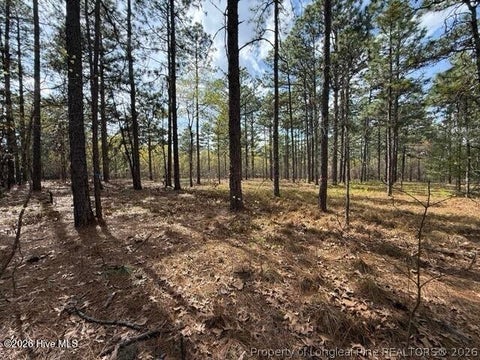 Tiny photo for 27 Birkdale Way, Pinehurst, NC 28374 (MLS # 769612)
