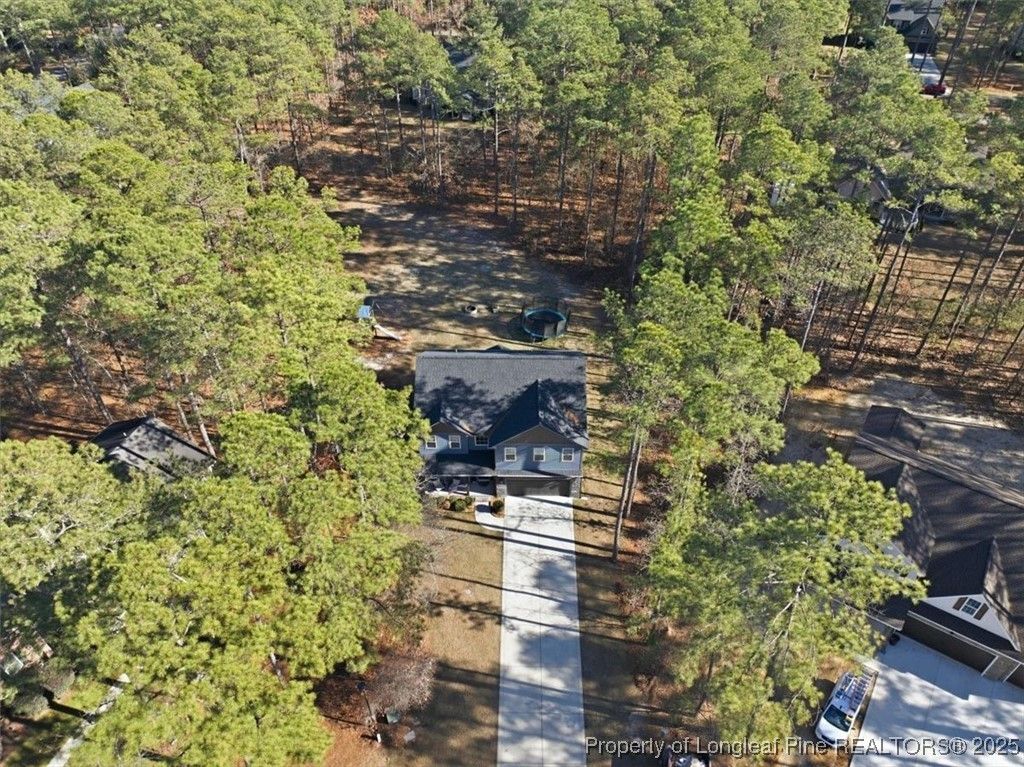 Photo of 28961 Pinedale Court, Wagram, NC 28396 (MLS # 754754)