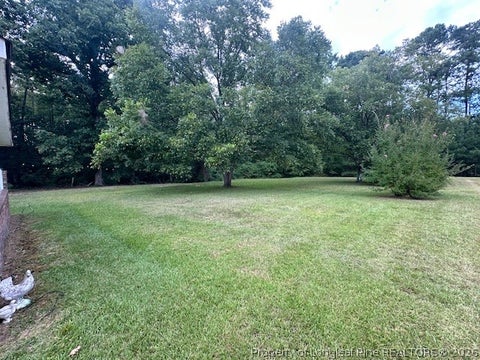Tiny photo for 3705 Linden Road, Linden, NC 28356 (MLS # 767546)