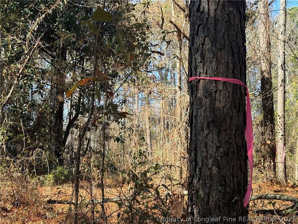 856 Harvey Lillie Avenue