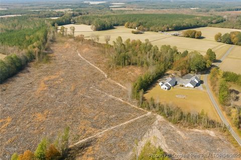 Tiny photo for Lot 5 Barnesville Church Road, Orrum, NC 28369 (MLS # 753815)