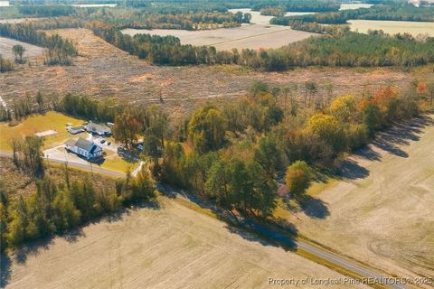 Tiny photo for Lot 5 Barnesville Church Road, Orrum, NC 28369 (MLS # 753815)