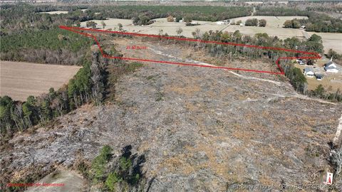 Tiny photo for Lot 5 Barnesville Church Road, Orrum, NC 28369 (MLS # 753815)