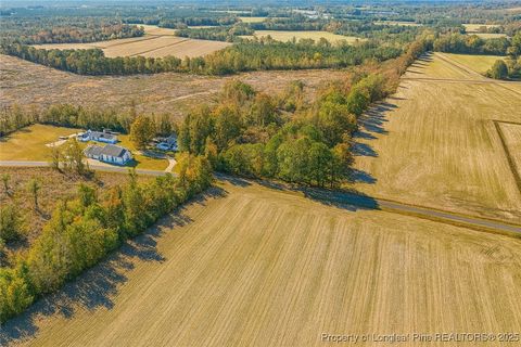 Photo of Lot 5 Barnesville Church Road, Orrum, NC 28369 (MLS # 753815)
