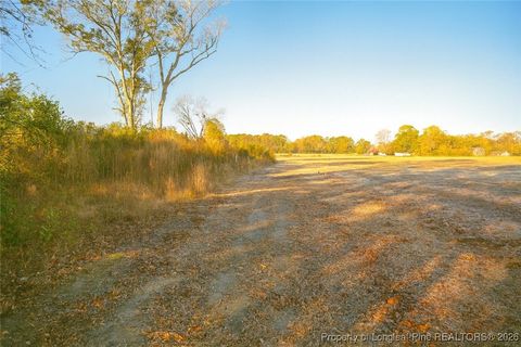 Tiny photo for Lot 5 Barnesville Church Road, Orrum, NC 28369 (MLS # 753815)