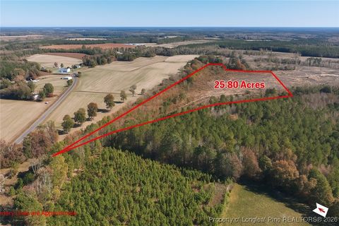 Tiny photo for Lot 5 Barnesville Church Road, Orrum, NC 28369 (MLS # 753815)