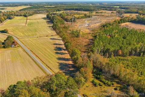 Tiny photo for Lot 5 Barnesville Church Road, Orrum, NC 28369 (MLS # 753815)