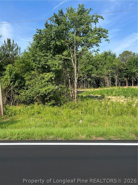 Photo of 0 produce market rd Road, Laurinburg, NC 28352 (MLS # 763736)