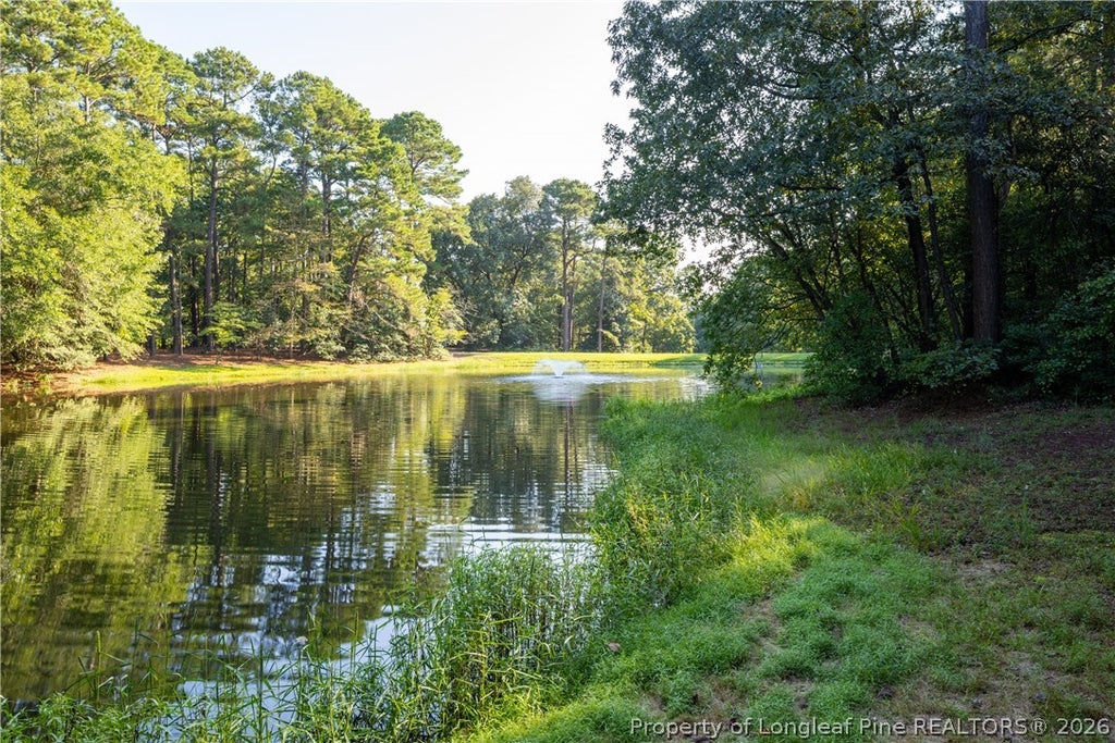 Photo of 295 Sprunt Drive, Clinton, NC 28328 (MLS # 768966)