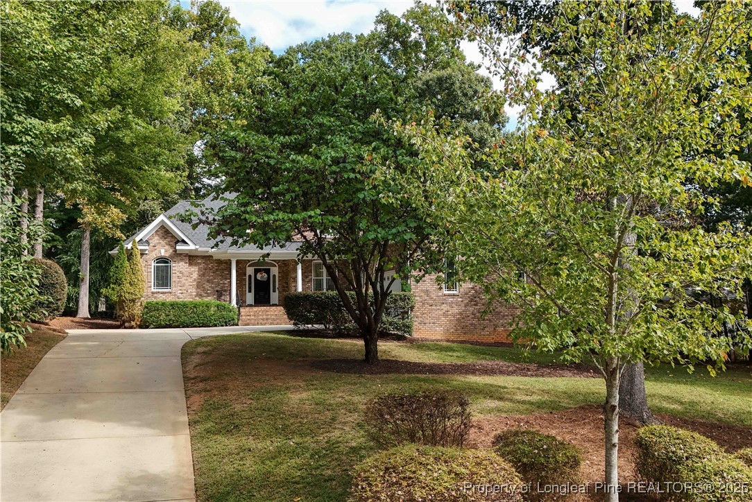 441 Mountain Laurel