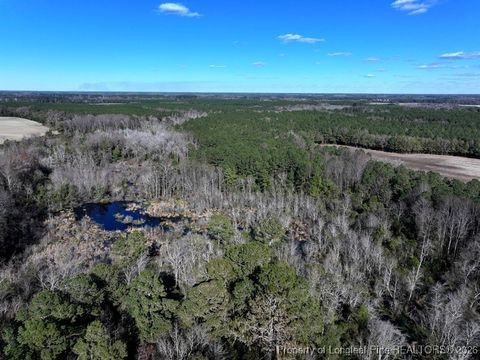 Tiny photo for TBD Stuarts Mill Road, Fairmont, NC 28340 (MLS # 756073)