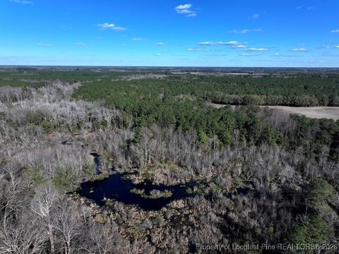 Photo of TBD Stuarts Mill Road, Fairmont, NC 28340 (MLS # 756073)