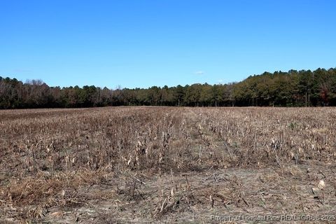 Tiny photo for TBD Stuarts Mill Road, Fairmont, NC 28340 (MLS # 756073)