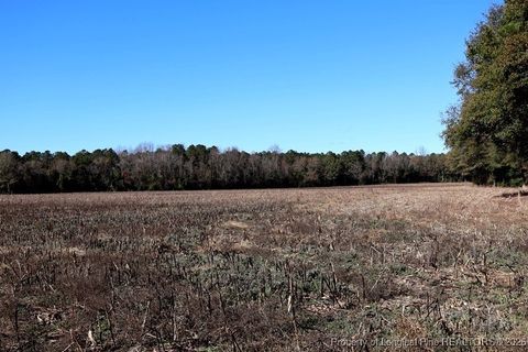 Tiny photo for TBD Stuarts Mill Road, Fairmont, NC 28340 (MLS # 756073)