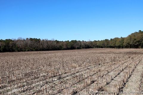 Tiny photo for TBD Stuarts Mill Road, Fairmont, NC 28340 (MLS # 756073)